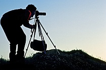 Photographer at Work, White Mountain